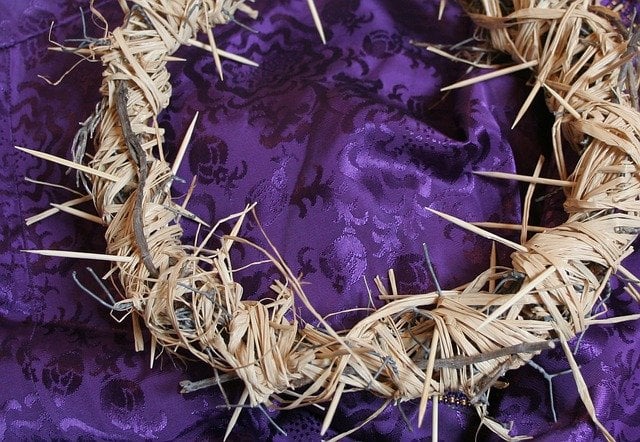 This image displays a crown of thorns on a violet cloth.