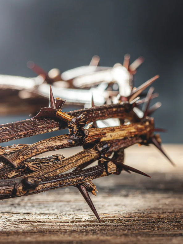 image of the Crown of Thornes Jesus wore during His Passion.
